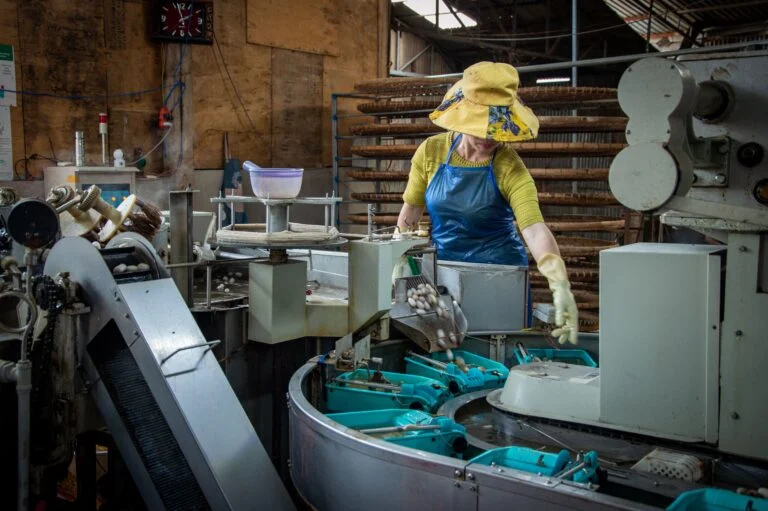 Mantenimiento de Naves Industriales en México