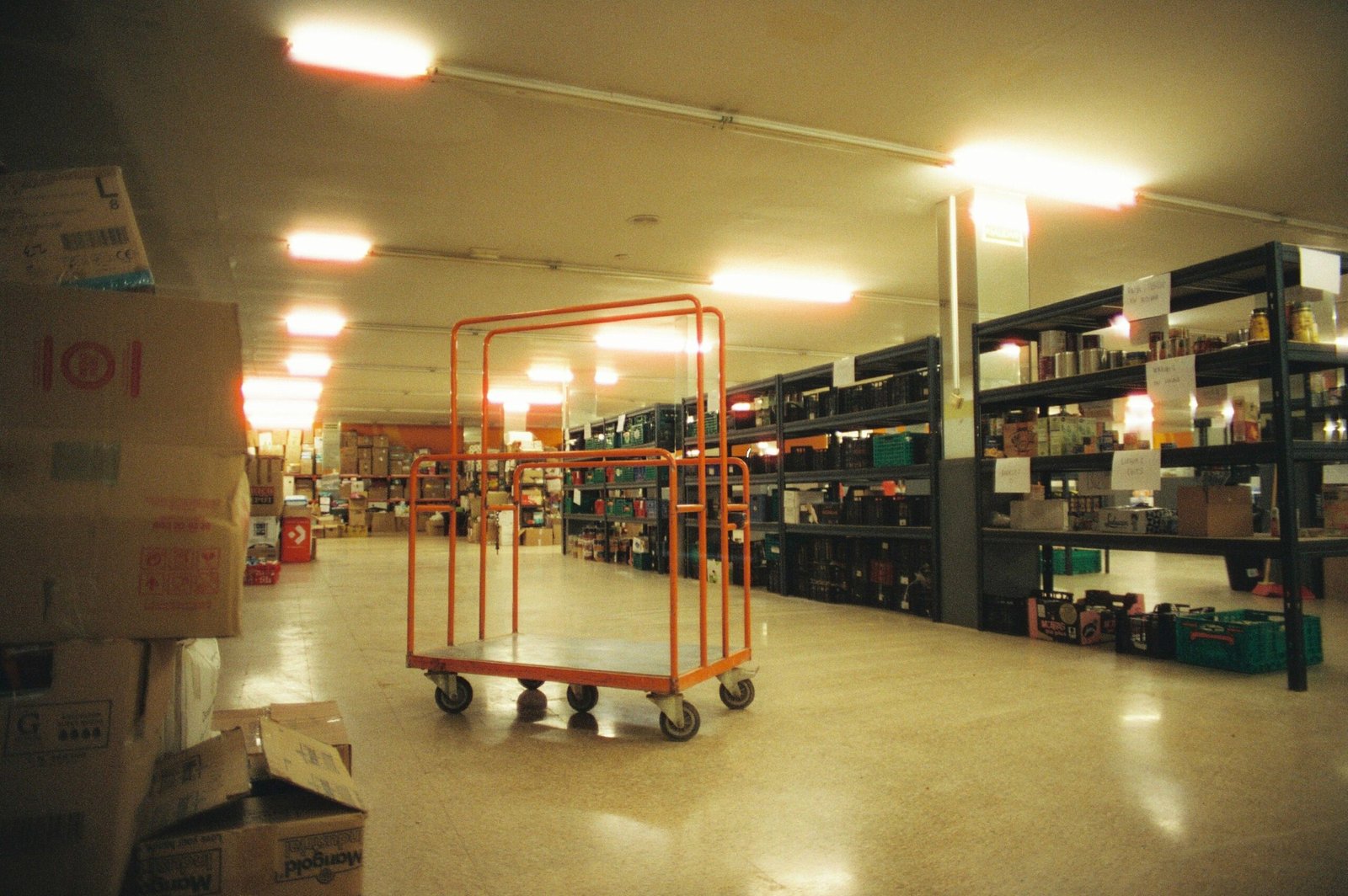 Nave de almacenamiento industrial con anaqueles organizados